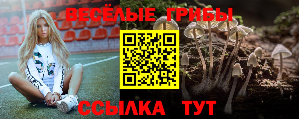 Томск  Галлюциногенные грибы MAGIC MUSHROOMS  Вход с VPN 